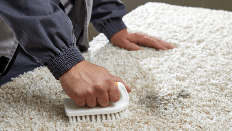 Professional Rug Cleaning Glen Huntly